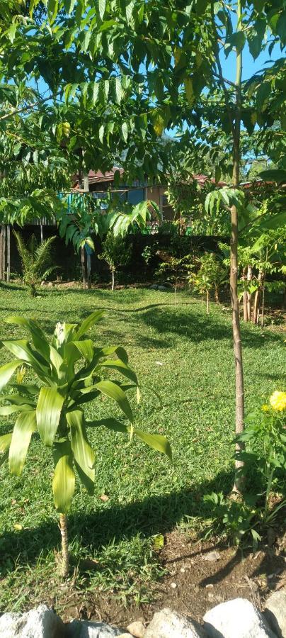 Karleta Homestay Рутенг Экстерьер фото